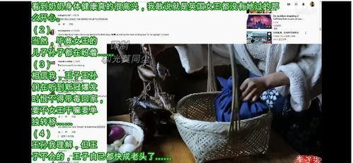 李子柒最新评价外网爆料,田园生活新风尚，网友热议不已